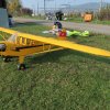 Saisonendfliegen